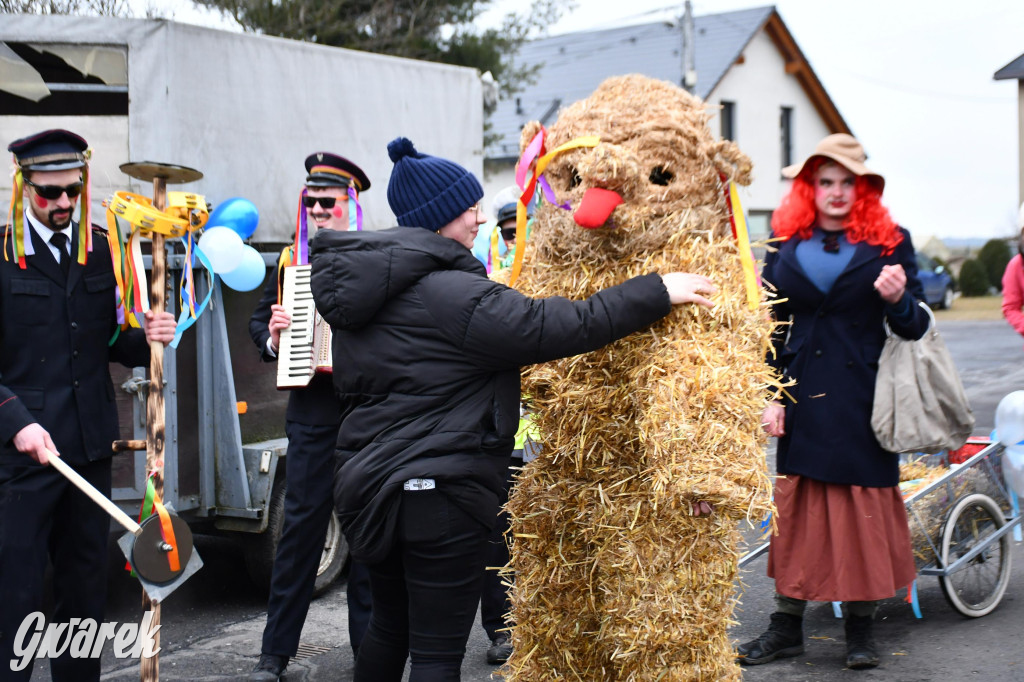 Wojska: Niedźwiedź, korowód i koniec karnawału