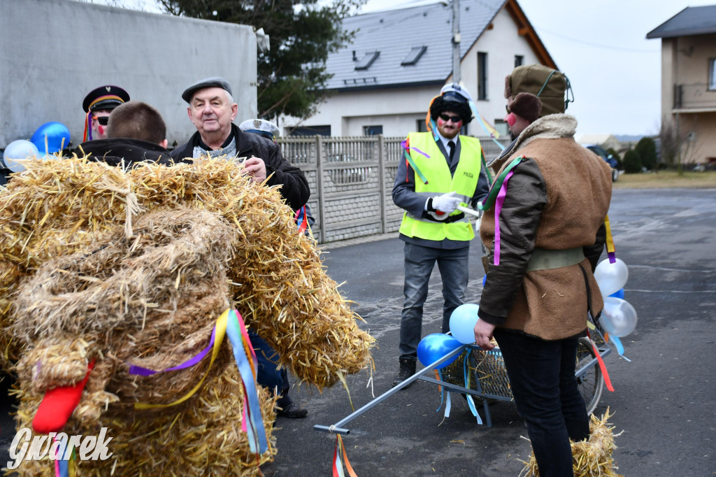 Wojska: Niedźwiedź, korowód i koniec karnawału