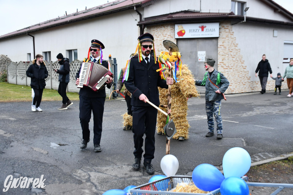 Wojska: Niedźwiedź, korowód i koniec karnawału