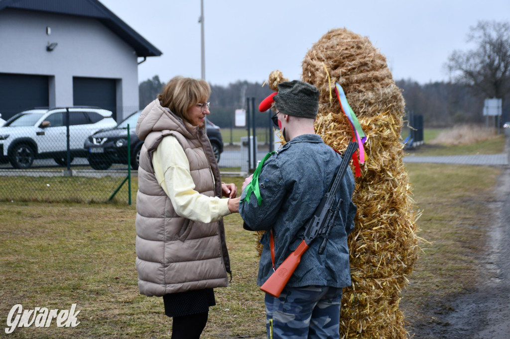 Wojska: Niedźwiedź, korowód i koniec karnawału