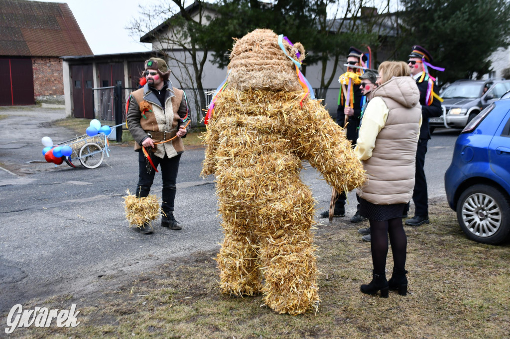Wojska: Niedźwiedź, korowód i koniec karnawału