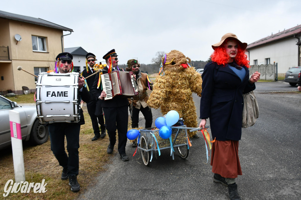Wojska: Niedźwiedź, korowód i koniec karnawału