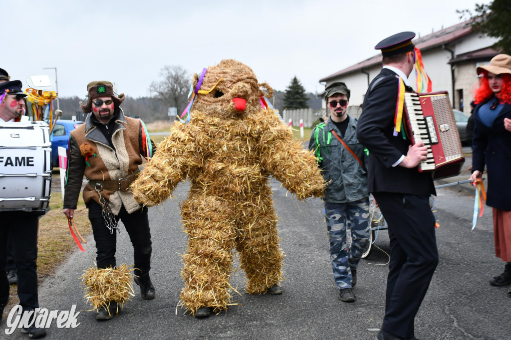 Wojska: Niedźwiedź, korowód i koniec karnawału