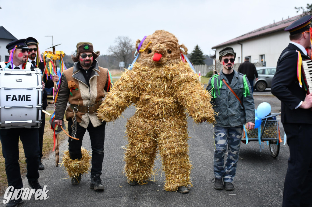 Wojska: Niedźwiedź, korowód i koniec karnawału