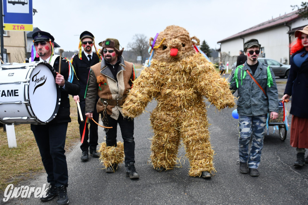 Wojska: Niedźwiedź, korowód i koniec karnawału