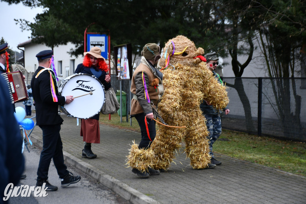 Wojska: Niedźwiedź, korowód i koniec karnawału