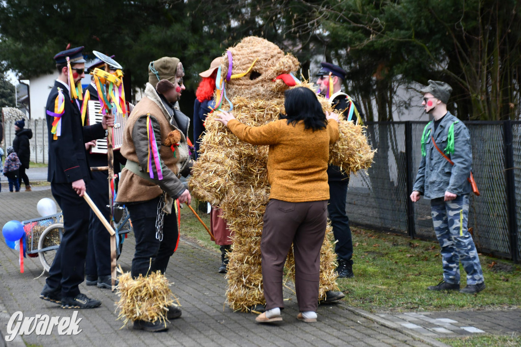 Wojska: Niedźwiedź, korowód i koniec karnawału