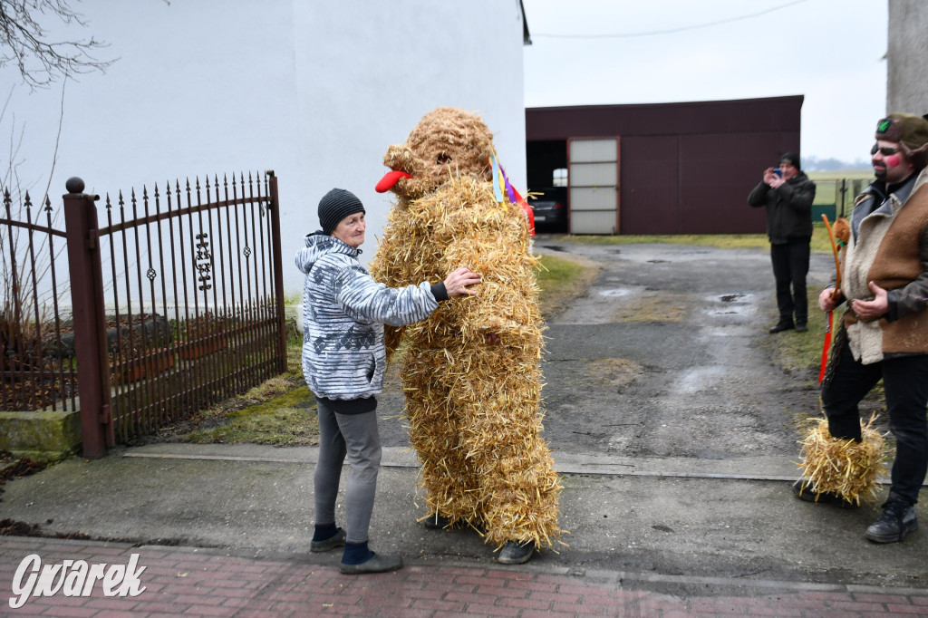 Wojska: Niedźwiedź, korowód i koniec karnawału
