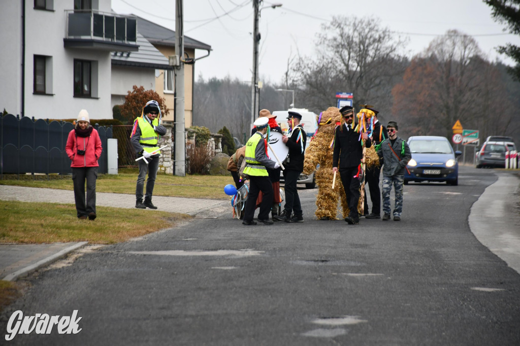 Wojska: Niedźwiedź, korowód i koniec karnawału