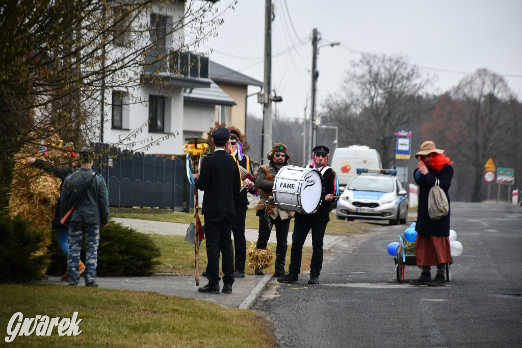 Wojska: Niedźwiedź, korowód i koniec karnawału