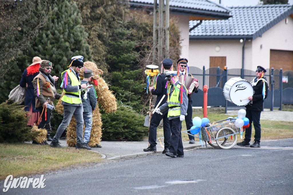 Wojska: Niedźwiedź, korowód i koniec karnawału