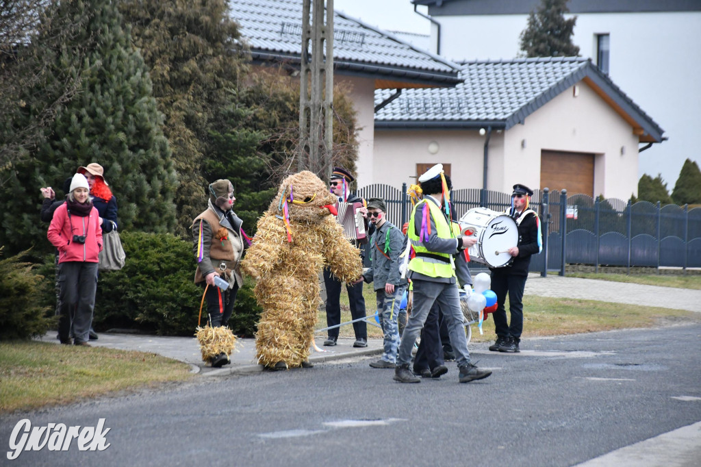 Wojska: Niedźwiedź, korowód i koniec karnawału