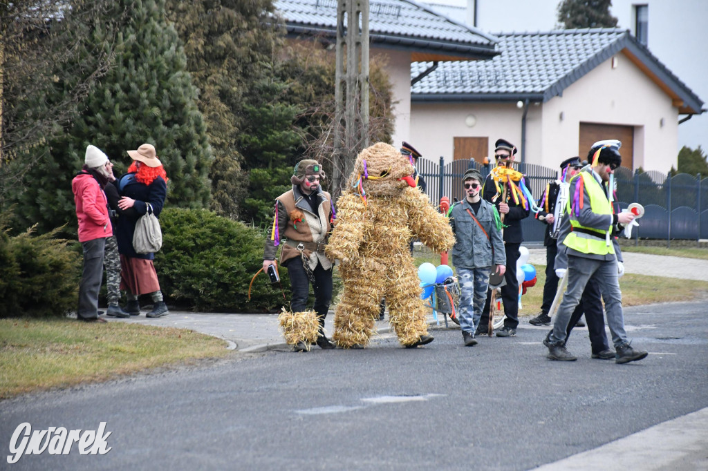 Wojska: Niedźwiedź, korowód i koniec karnawału