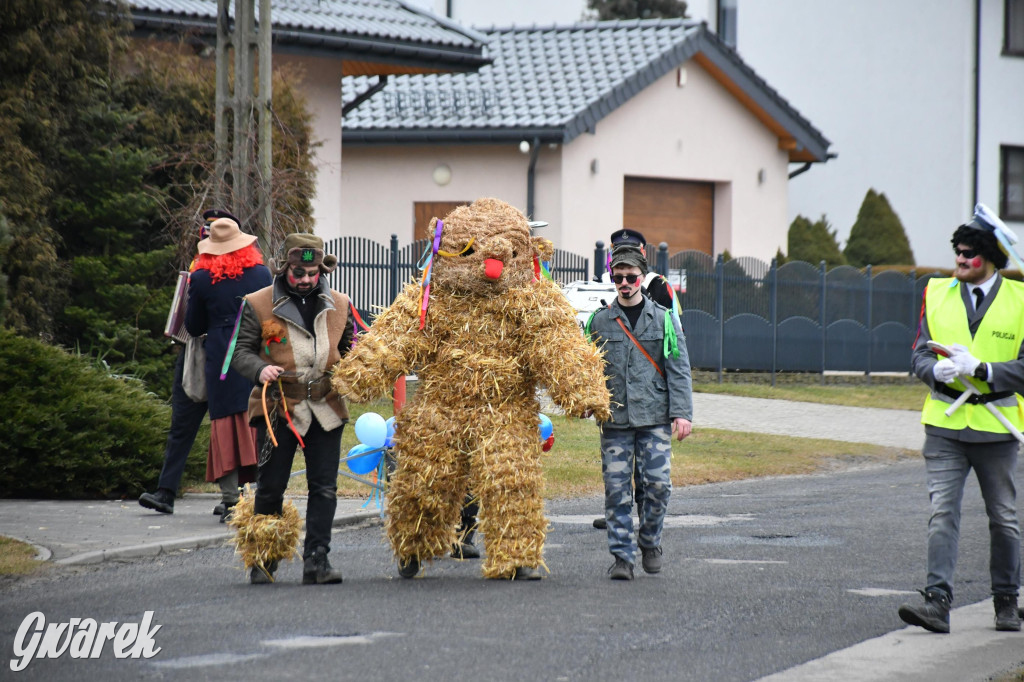 Wojska: Niedźwiedź, korowód i koniec karnawału