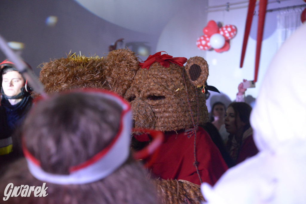 Wodzenie niedźwiedzia w Łubiu i Kopienicy