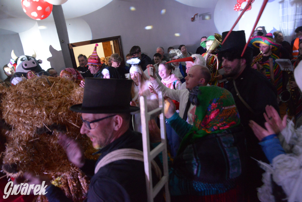 Wodzenie niedźwiedzia w Łubiu i Kopienicy