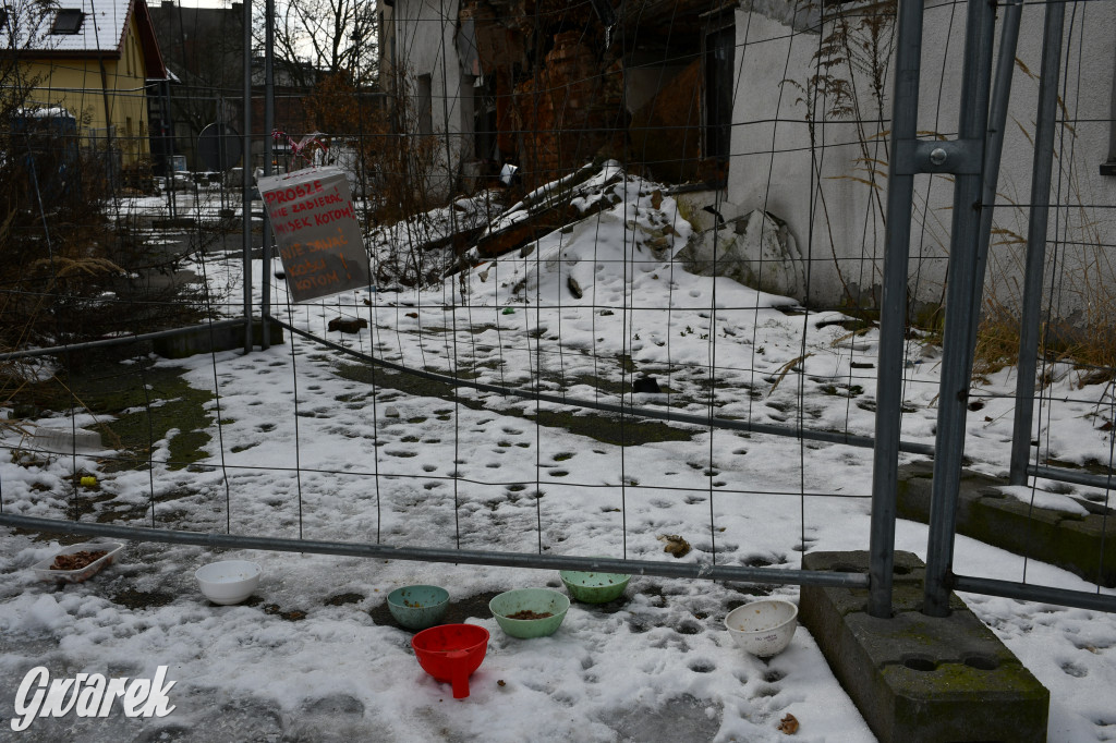 Tarnowskie Góry. Czy miasto kupi Kurną Chatę?