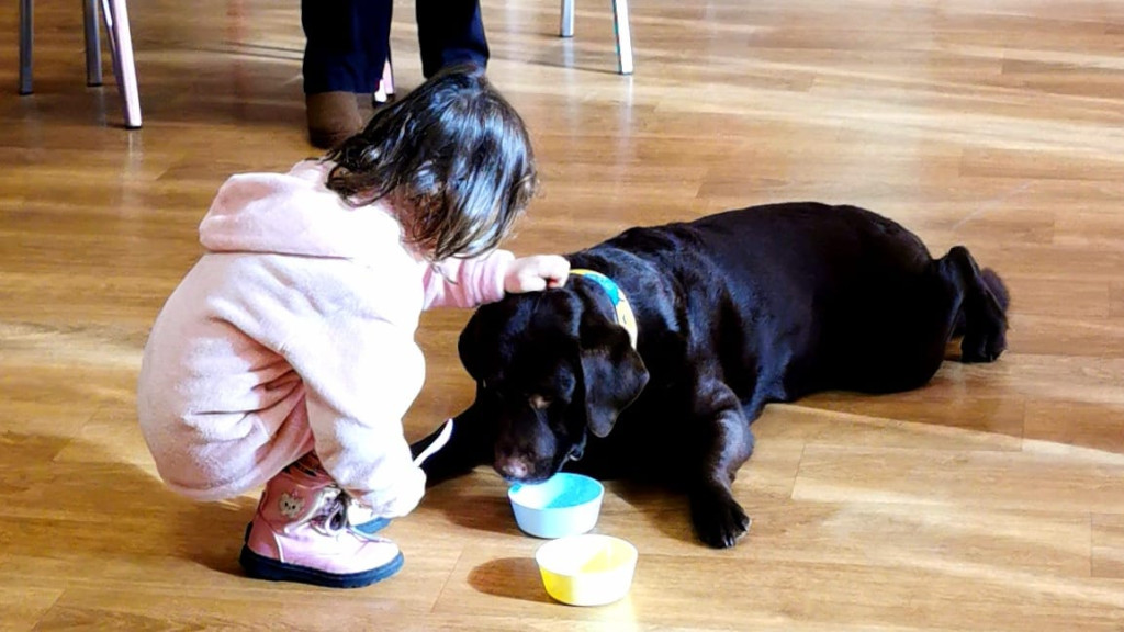 Ferie na półmetku. Zobaczcie zdjęcia z różnych zajęć