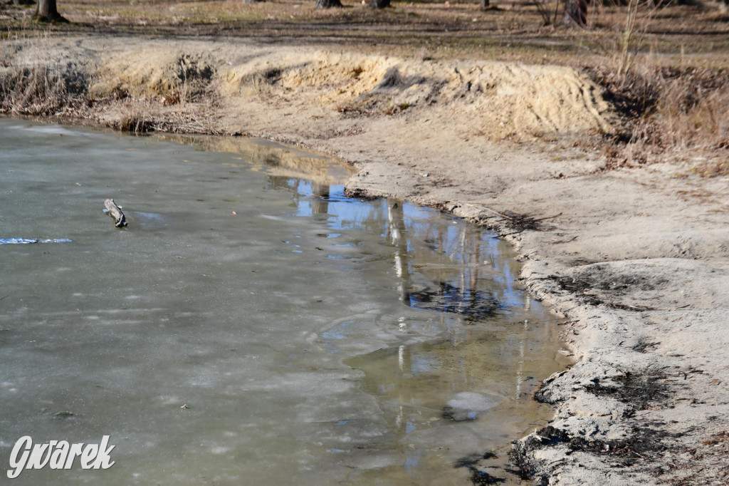 Dronem nad zalewem Nakło Chechło