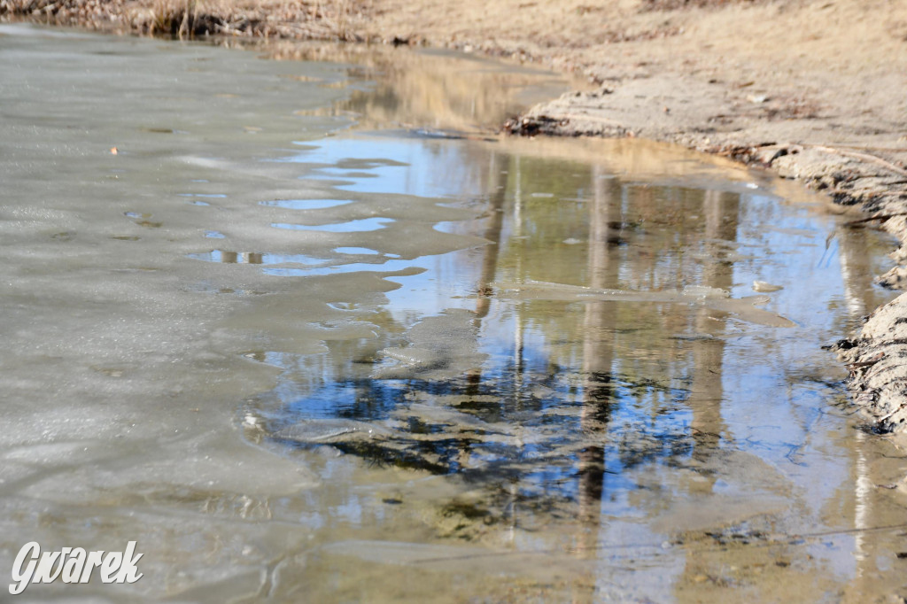 Dronem nad zalewem Nakło Chechło