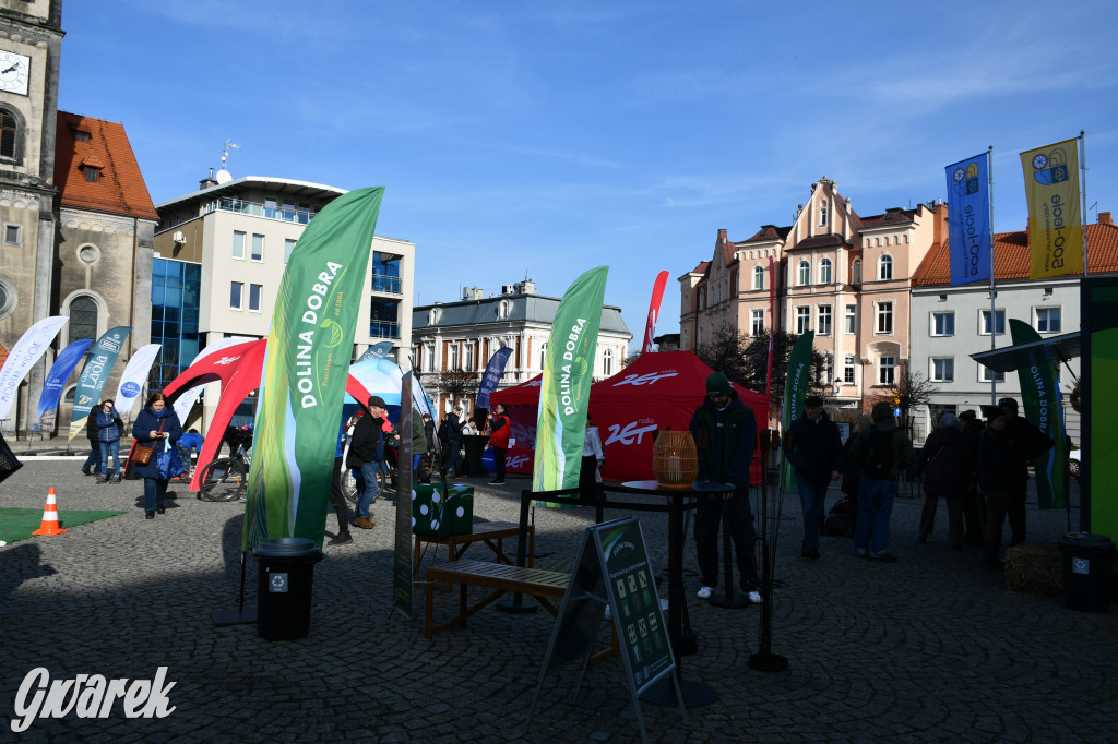 Tarnowskie Góry. Czekolada za uśmiech i zimowe sporty