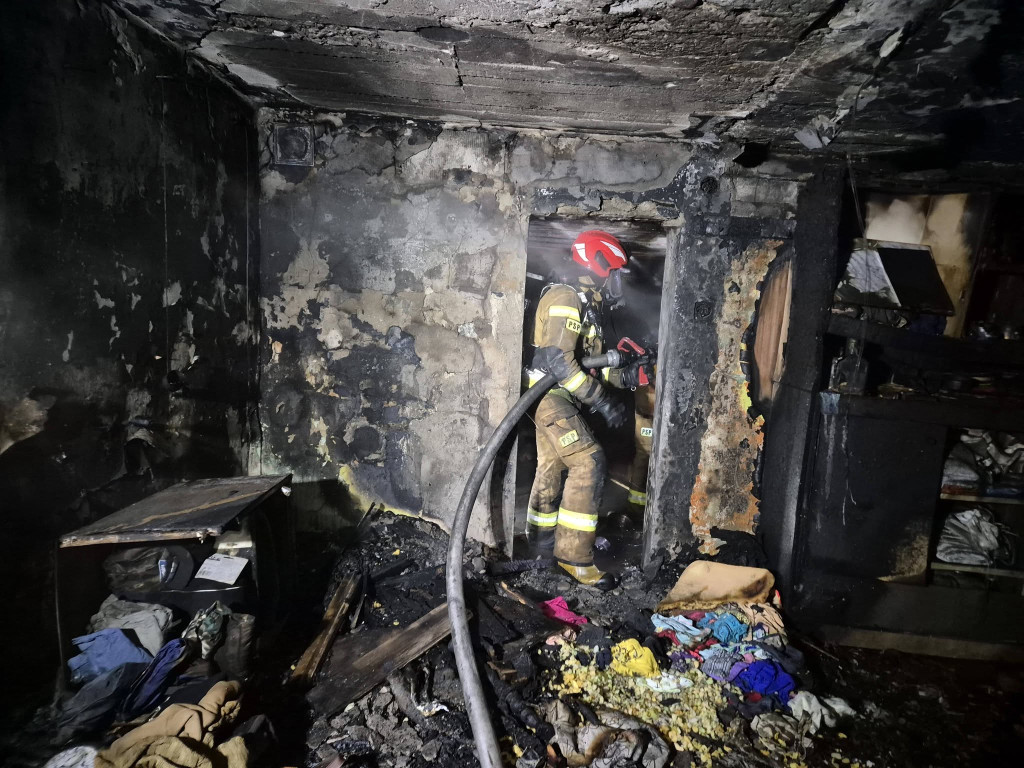 Nocny pożar  na ogródkach działkowych. Spłonęła altana