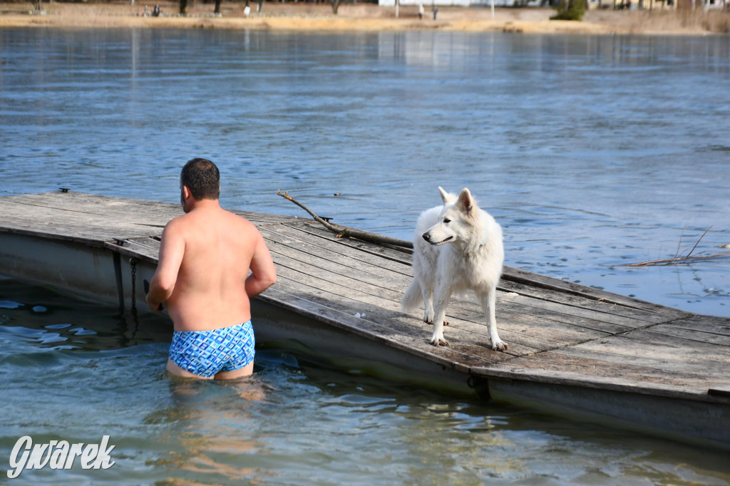 Marcowe morsowanie nad Chechłem