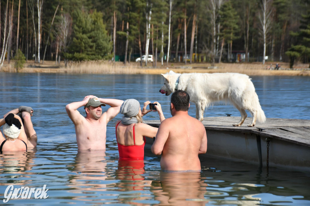 Marcowe morsowanie nad Chechłem
