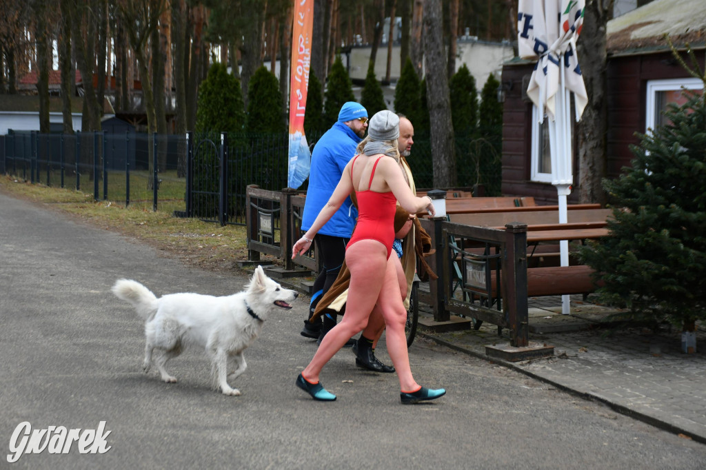 Marcowe morsowanie nad Chechłem