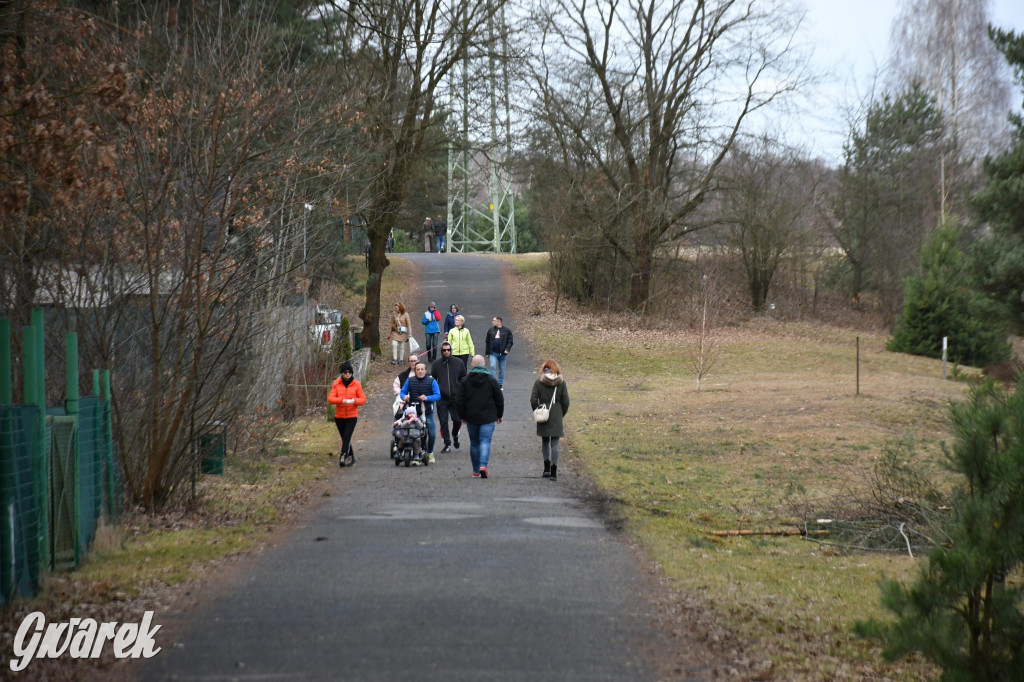 Marcowe morsowanie nad Chechłem