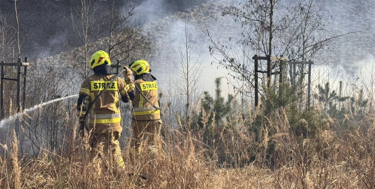 Wiosna i znów się zaczyna. Strażacy w akcji przy A1