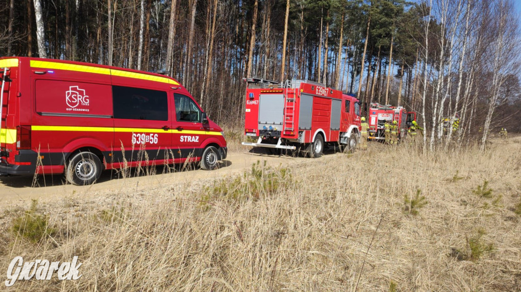 Wiosna i znów się zaczyna. Strażacy w akcji przy A1