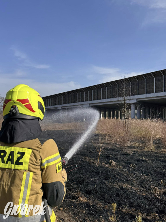 Wiosna i znów się zaczyna. Strażacy w akcji przy A1