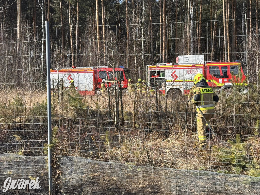 Wiosna i znów się zaczyna. Strażacy w akcji przy A1