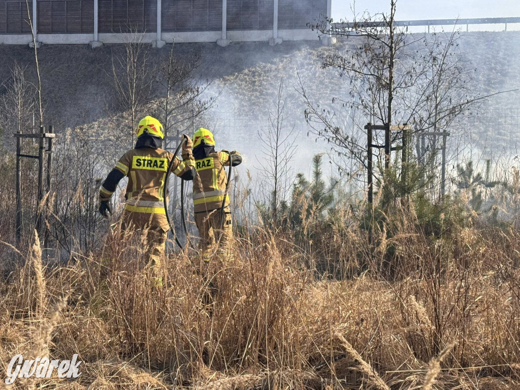 Wiosna i znów się zaczyna. Strażacy w akcji przy A1