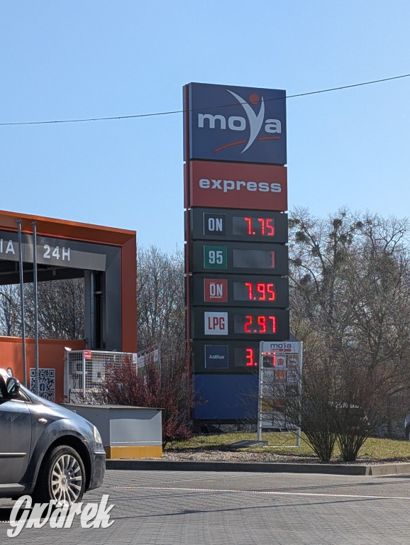 Sprawdziliśmy ceny na stacjach w Tarnowskich Górach