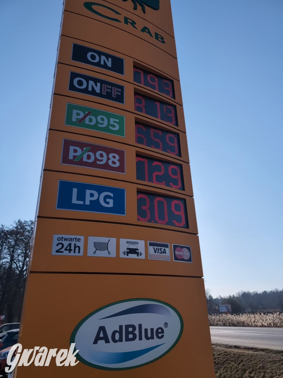 Sprawdziliśmy ceny na stacjach w Tarnowskich Górach