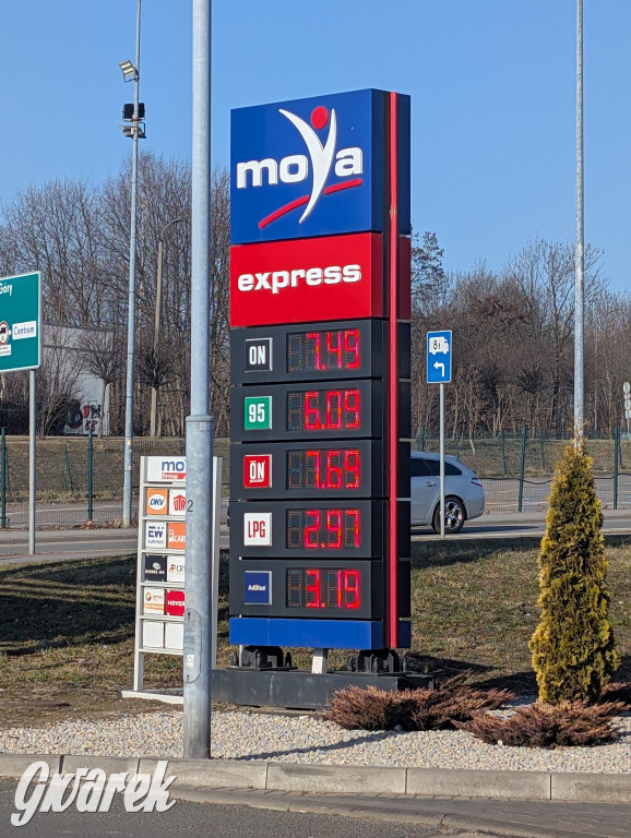 Sprawdziliśmy ceny na stacjach w Tarnowskich Górach