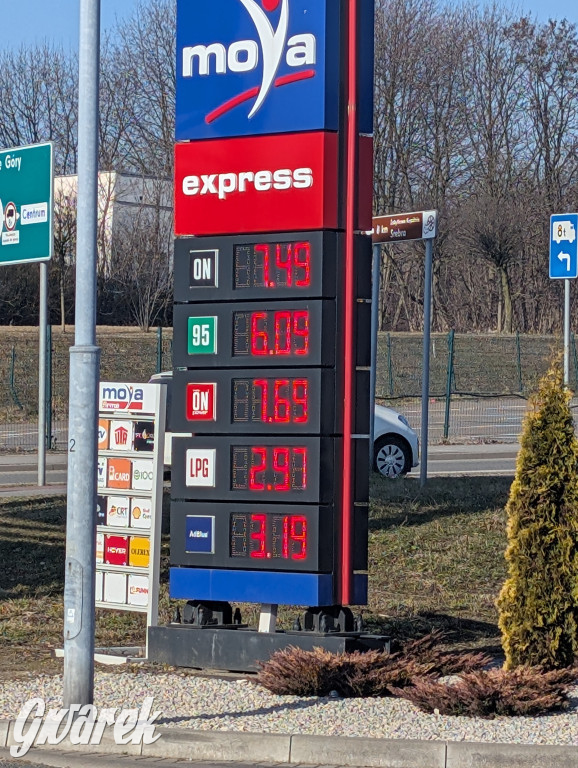 Sprawdziliśmy ceny na stacjach w Tarnowskich Górach