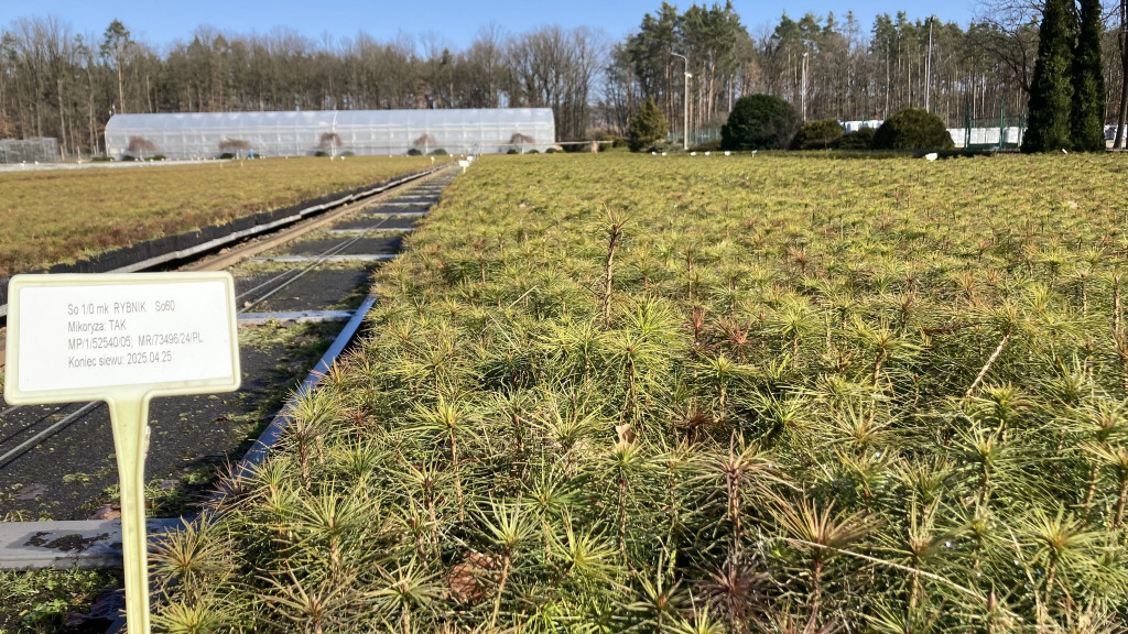 Nasi uczniowie mieli gości z Francji