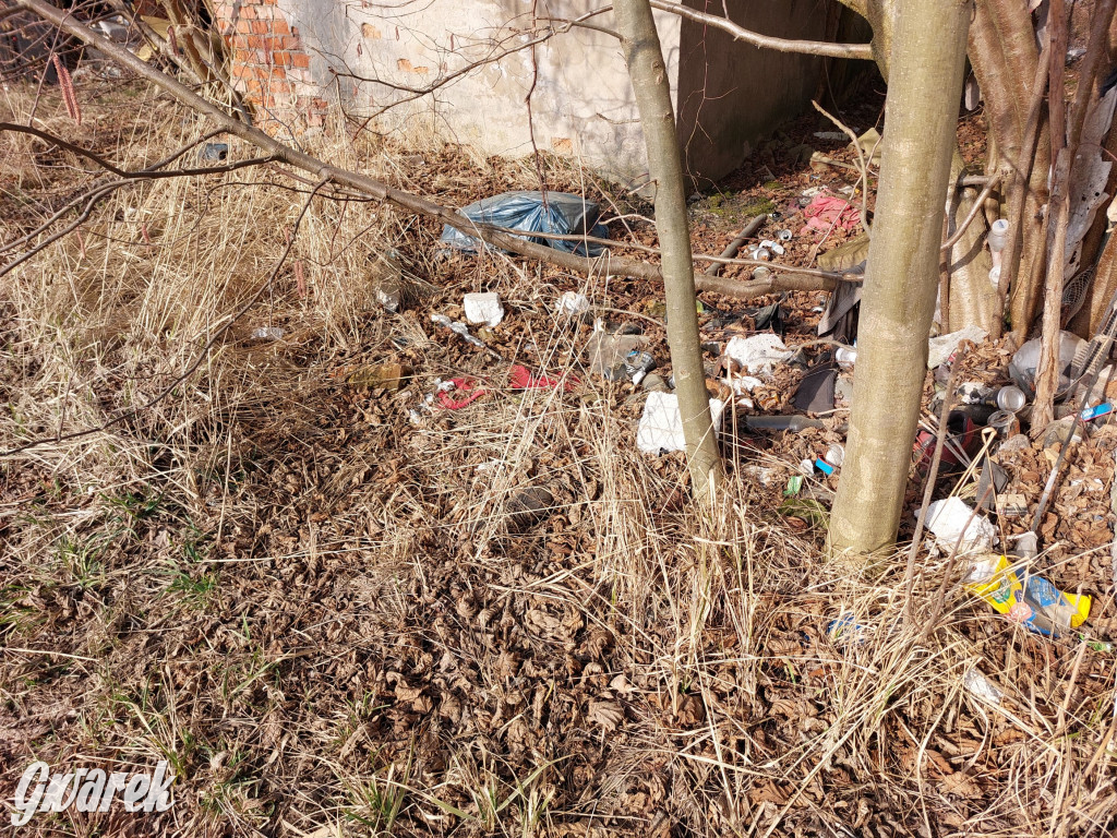 Repty Śląskie. Nie tylko krzyż jest w opłakanym stanie