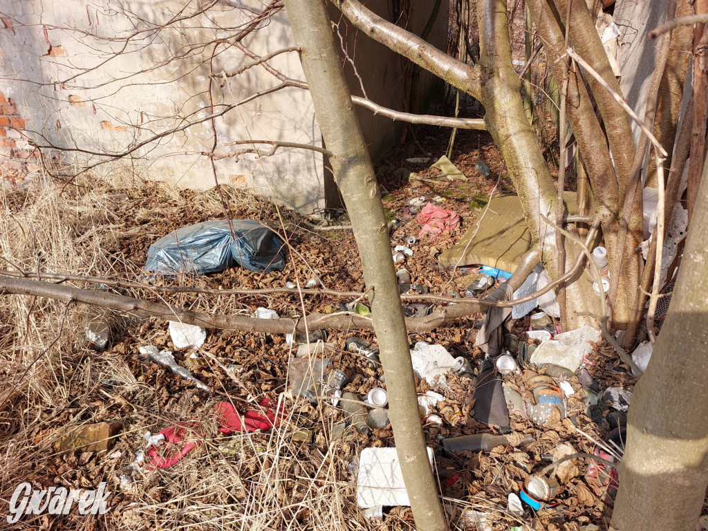 Repty Śląskie. Nie tylko krzyż jest w opłakanym stanie