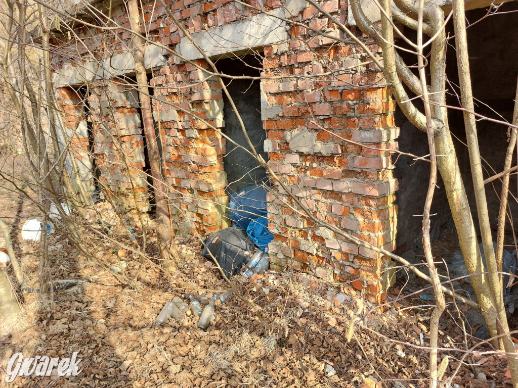 Repty Śląskie. Nie tylko krzyż jest w opłakanym stanie