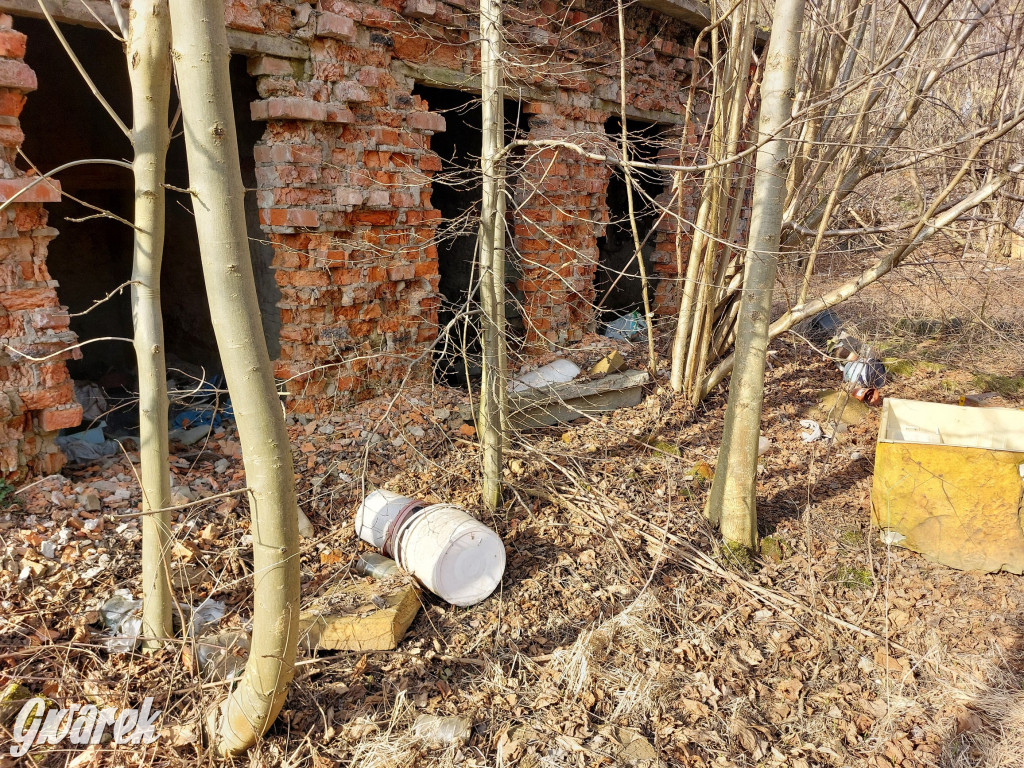 Repty Śląskie. Nie tylko krzyż jest w opłakanym stanie