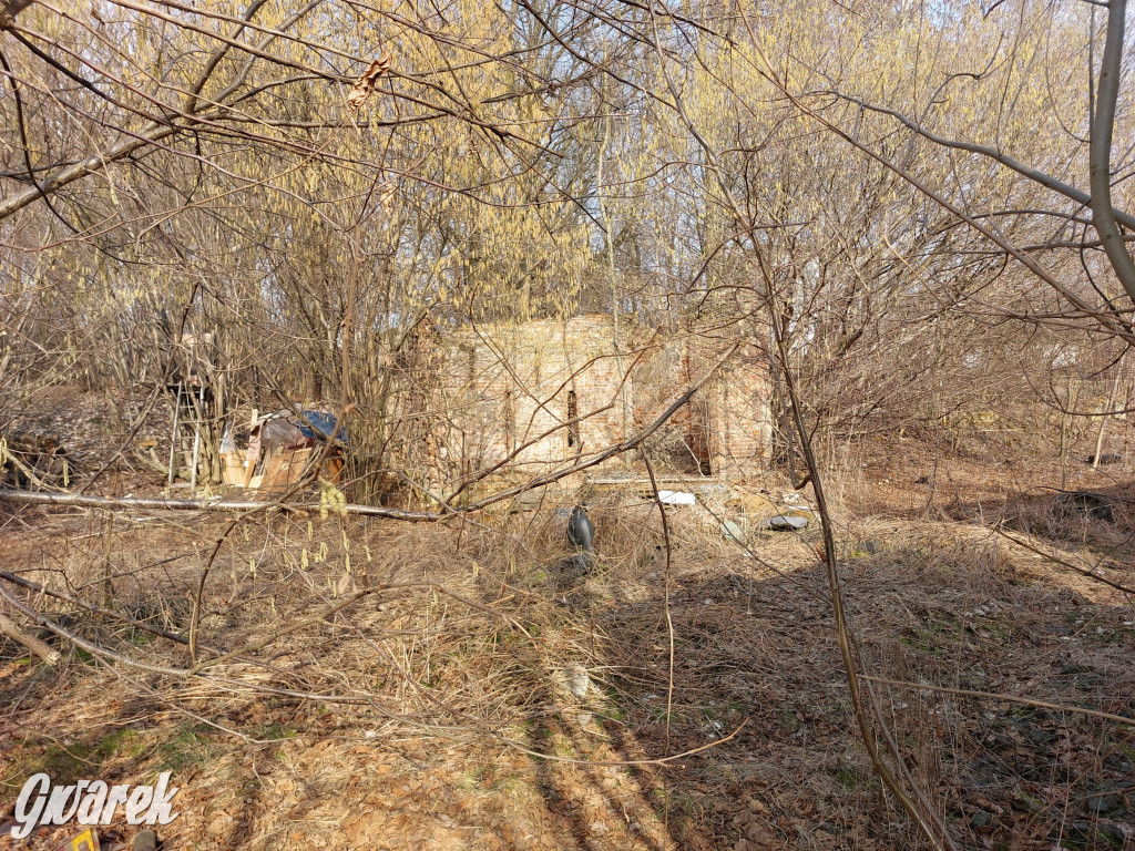 Repty Śląskie. Nie tylko krzyż jest w opłakanym stanie