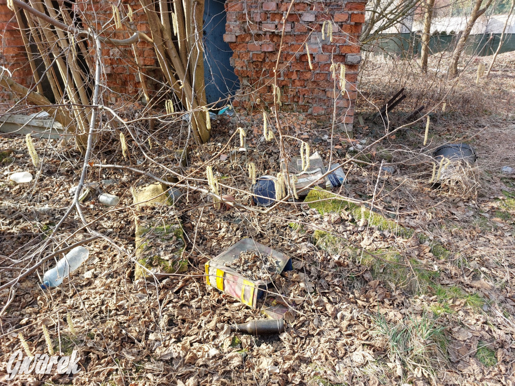 Repty Śląskie. Nie tylko krzyż jest w opłakanym stanie