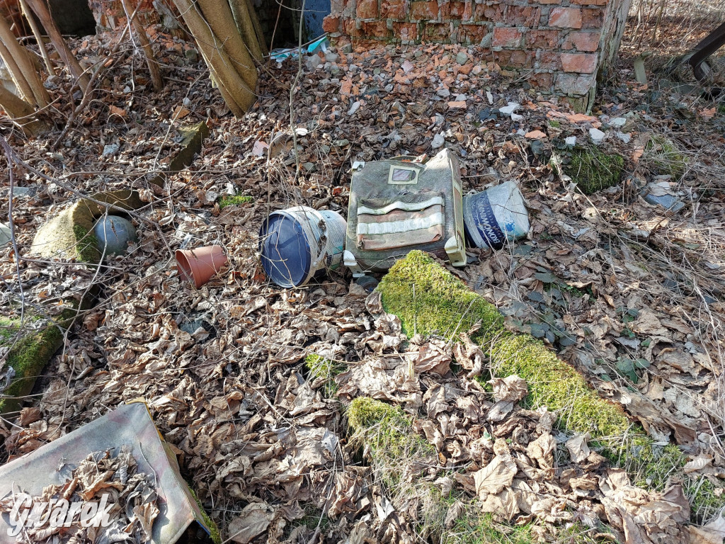 Repty Śląskie. Nie tylko krzyż jest w opłakanym stanie