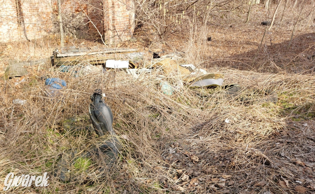 Repty Śląskie. Nie tylko krzyż jest w opłakanym stanie