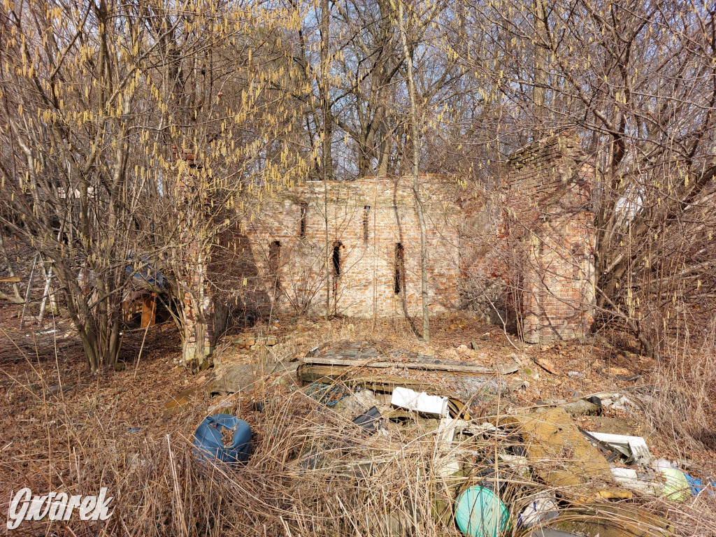 Repty Śląskie. Nie tylko krzyż jest w opłakanym stanie