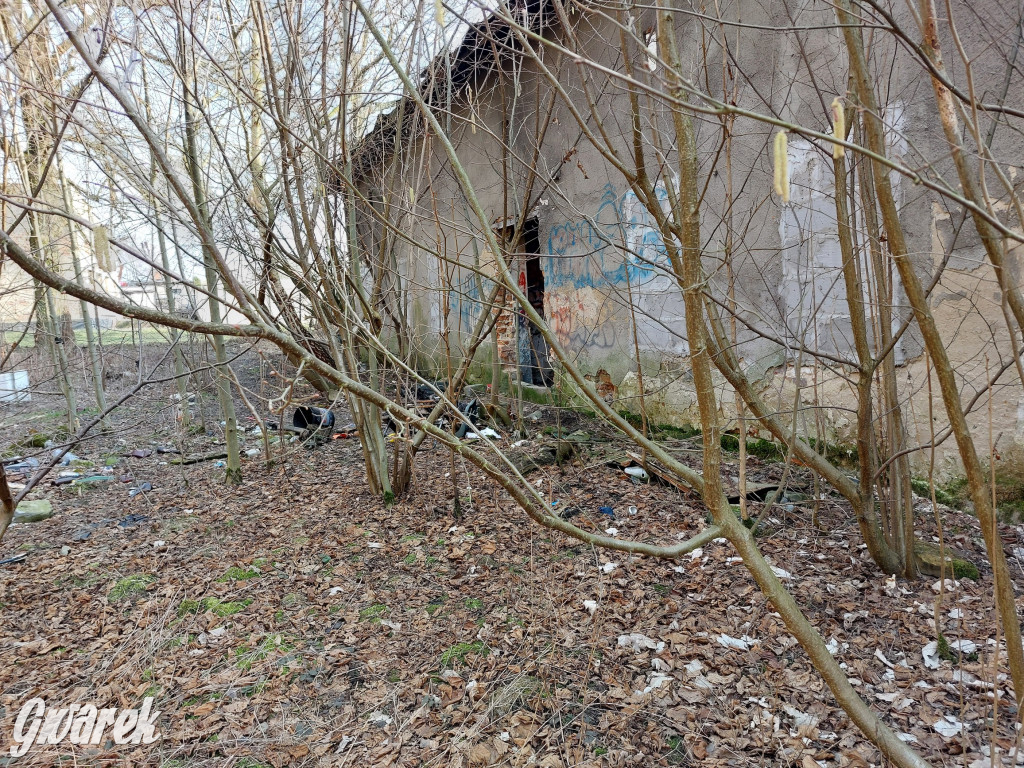 Repty Śląskie. Nie tylko krzyż jest w opłakanym stanie